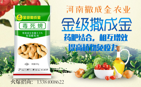 �����ɽ��r(n��ng)�I(y��)��ף������µ�һ���������³�������������