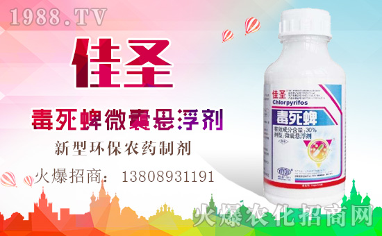 ���|���r(n��ng)�I(y��)��ף������µ�һ���﹤�����������������