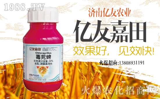 ���|���r(n��ng)�I(y��)��ף������µ�һ���﹤�����������������