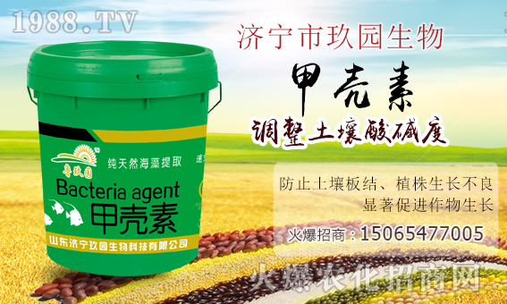 �����@�����ף����´��옷���Ҹ�������