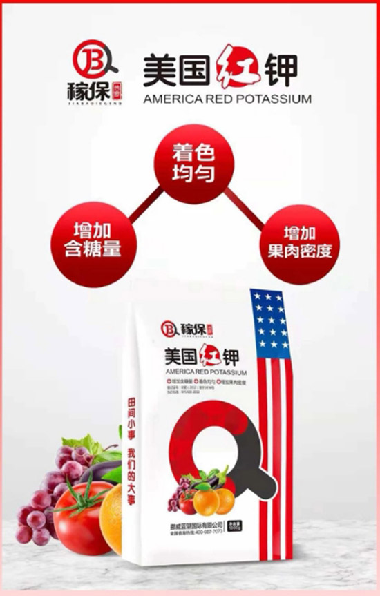 ��Ų���{(l��n)����ףȫ��(gu��)���ѹ������������������