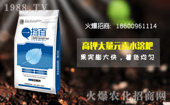 ���̩����ףȫ�������f�´����ϼҚg����