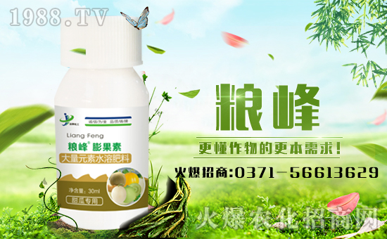 �����ƻ�����ףȫ�������µ�һ����ؔ(c��i)Դ�L�L����