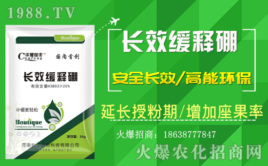 �����ϠN�S�����ףȫ����(j��ng)�N�������i��󼪣��Ҹ����M��