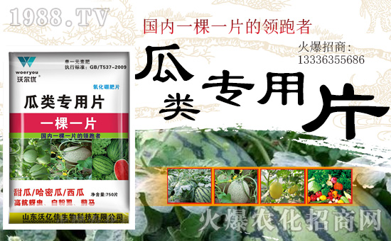 ��ɽ�|�փ|�ѡ�ף���2019�Ҹ�һ���������\������19���Ҹ������R�w��