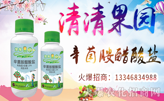 ����������ף������µ�һ�����Ҹ����M���H�Қg����