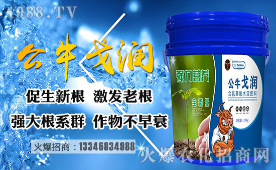 ����������ף������µ�һ�����Ҹ����M���H�Қg����