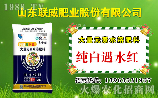 ��(li��n)���ʘI(y��)��ף������µ�һ���﹤�����������������