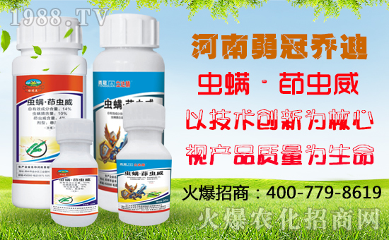 ���¹چ̵ϡ�ף������옷(l��)��ؔ(c��i)�\(y��n)��ͨ��