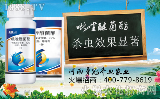 ���¹چ̵ϡ�ף������옷(l��)��ؔ(c��i)�\(y��n)��ͨ��