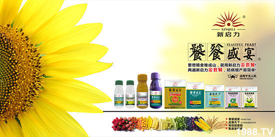     ���V��������ף������µ�һ�������w�������f��������