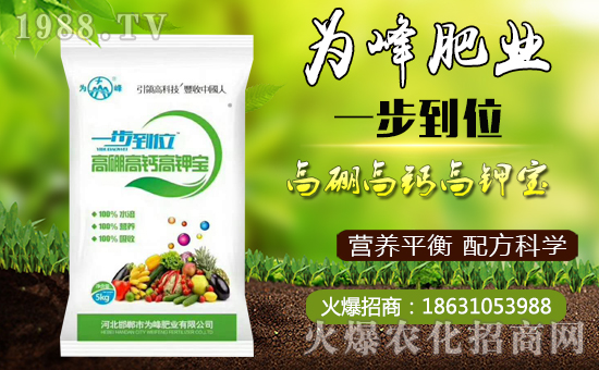     �����ʘI(y��)��ףȫ���������µ�һ�����Ҹ����M���H�Қg����