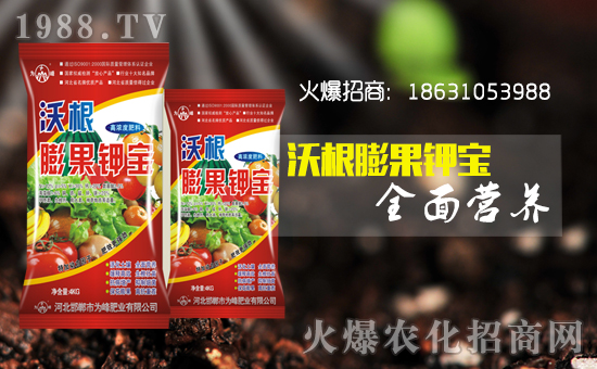     �����ʘI(y��)��ףȫ���������µ�һ�����Ҹ����M���H�Қg����