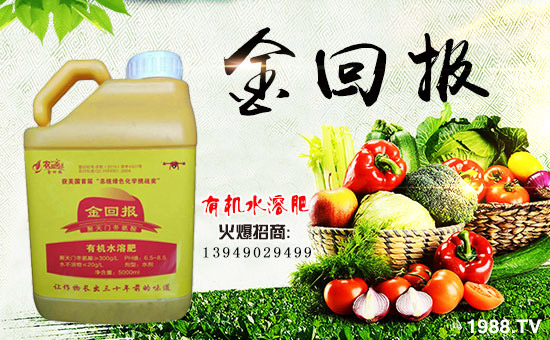     ����؈�(b��o)�r(n��ng)�I(y��)��ף������µ�һ�������w�����������³ɣ��f��������