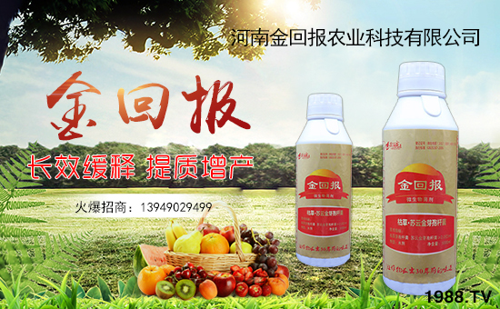     ����؈�(b��o)�r(n��ng)�I(y��)��ף������µ�һ�������w�����������³����f�����⣡