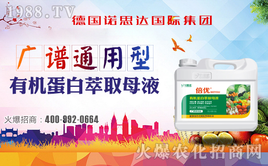 ����(gu��)�Z˼�_(d��)����ף����´��옷���Ҹ�������