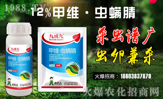 ��С�����r(n��ng)�I(y��)��ף������µ�һ�������w�����������³����f(w��n)��������