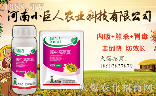 ��С�����r(n��ng)�I(y��)��ף������µ�һ�������w�����������³����f(w��n)��������