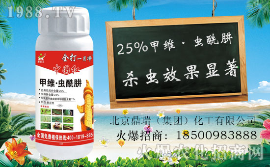     ����������ף������µ�һ�����Ҹ����M���H�Қg����