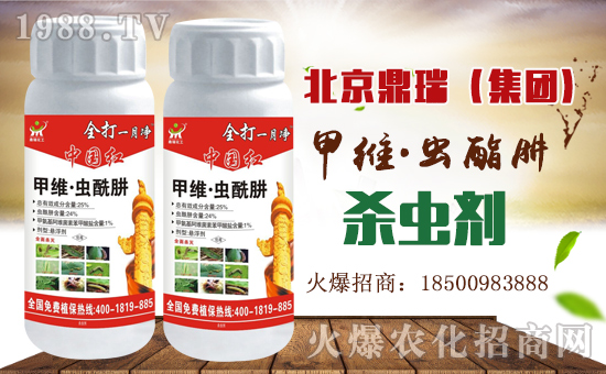     ����������ף������µ�һ�����Ҹ����M���H�Қg����