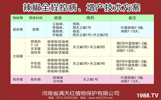 �����ϝM��t��ף������µ�һ���﹤�����������������