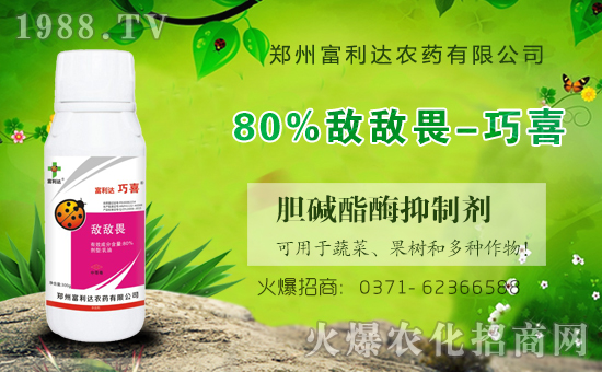 �������_��ףȫ���������µ�һ���﹤�����������������