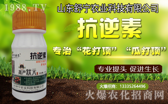 ���挎�r(n��ng)�I(y��)���������Ͽ͑��´��옷�����۰�����