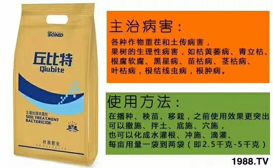 ��ʩ���_(d��)����ף������w�������H���Ҹ����i�����