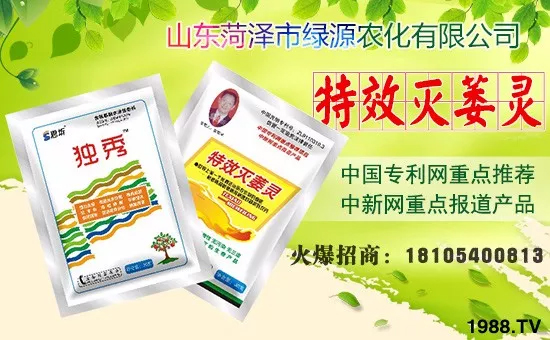     �ڴ������(l��i)�R֮�H��ɽ�|�ʝ��оGԴ�r(n��ng)�����޹�˾ȫ�w�T��ף�����g�gϲϲӭ�i�����f(w��n)������ƽ�������P(y��ng)ü����������I(y��)�ɹ��x�������ϼҚg���Ҹ��꣬���w�����f(w��n)�f(w��n)�������