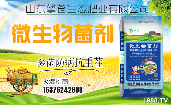 �����n���B(t��i)����ף���Ͽ͑��i���д��\(y��n)��ؔ(c��i)Դ�L�L����