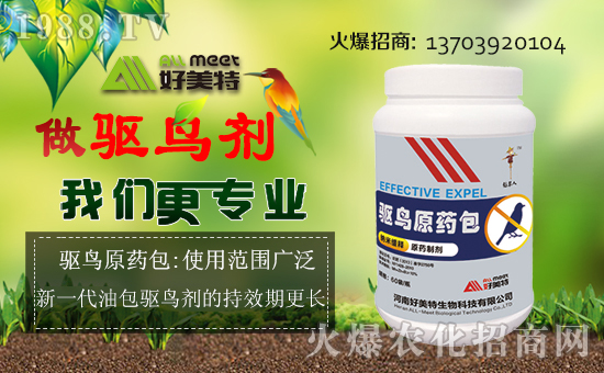 �����������ȫ�w�T��ף����´��옷������������