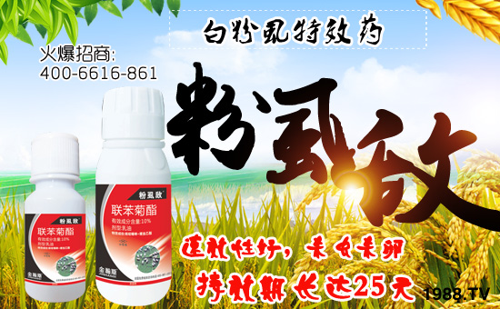 �����˹�r(n��ng)�I(y��)��ףȫ��(gu��)�������w�������f��������