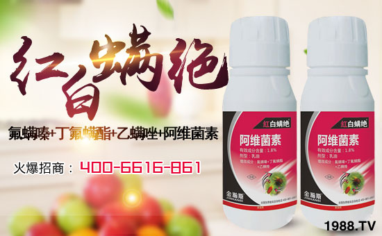 �����˹�r(n��ng)�I(y��)��ףȫ��(gu��)�������w�������f��������