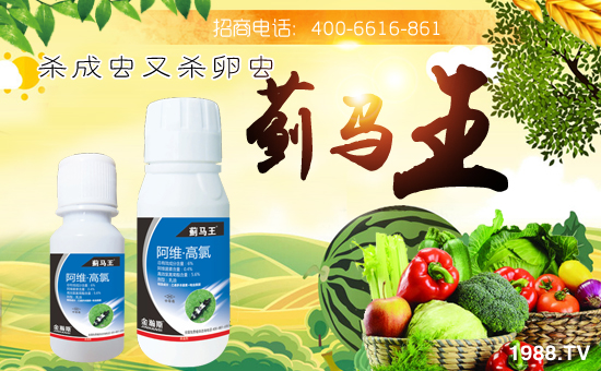 �����˹�r(n��ng)�I(y��)��ףȫ��(gu��)�������w�������f�����⣡