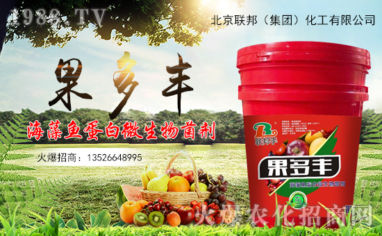 ������(li��n)�����ף�������옷�����¶�࣡