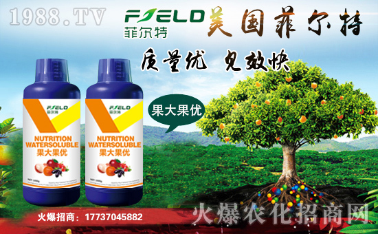 ���Ơ��ء�ףȫ����(j��ng)�N�����т����w���������������