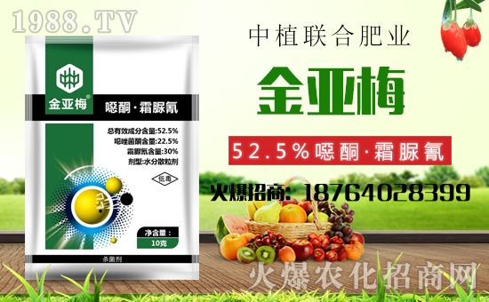 ����ֲ(li��n)�ϡ�ף������������옷���f��������