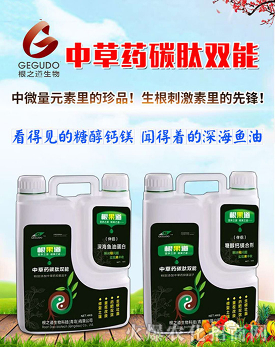 �����u��֮����ףԸһ·�������т����w�������i�꼪�飡