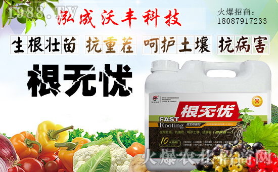 ���������S��ףȫ����(j��ng)�N�����w�������i�꼪����