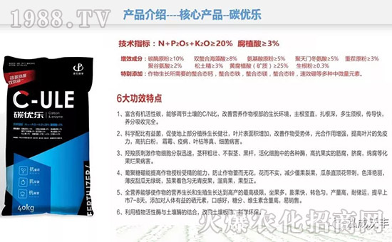 ���������S��ףȫ����(j��ng)�N�����w�������i�꼪����