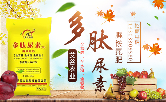     �������r(n��ng)�I(y��)����ף����´��옷�����w�������H���Ҹ����f��������