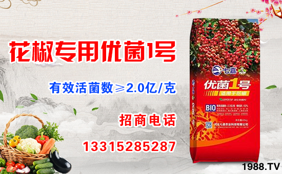     �D(zhu��n)��ӭ���r(n��ng)�v���������q����ƽ����ֵ���´��ѹ�(ji��)���R֮�H���ӱ��߼��r(n��ng)�I(y��)�Ƽ����޹�˾ף������µ�һ�������w�������f��������