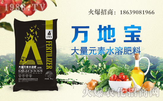 ����ʢ�ʘI(y��)��ף������µ�һ�������w�������H�Қg����