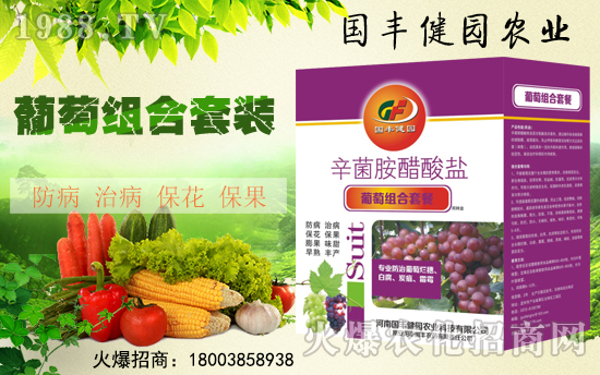 �����S���@��ȫ�w�T��ף����´��옷������������