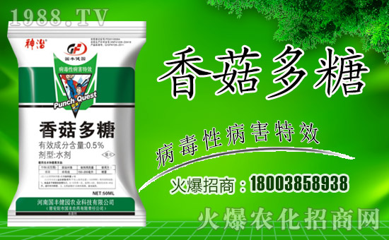 �����S���@��ȫ�w�T��ף����´��옷������������