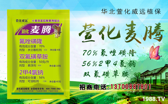 ���滯���h��ף������µ�һ������w�������f��������