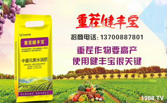 ���滯���h��ף������µ�һ������w�������f�����⣡