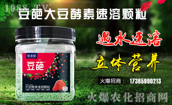 ��������������ף������µ�һ�����Ҹ����M���H�Қg����