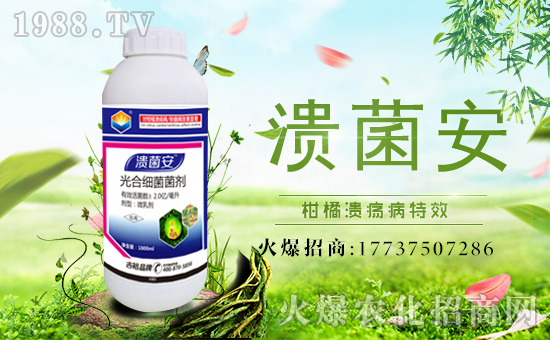 ����ԣ�r(n��ng)�I(y��)��ף������µ�һ�������w�������f�����⣡