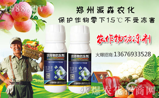 ����ɭ�r(n��ng)����ף������µ�һ���﹤�����������������